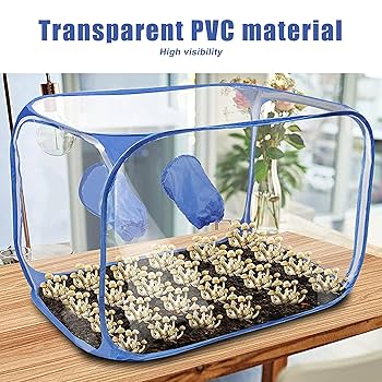 ZQDFLME Mushroom Still Air Box (35.8x23.2x22.8 Inches